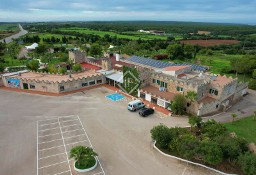 Dom Ciutadella De Menorca