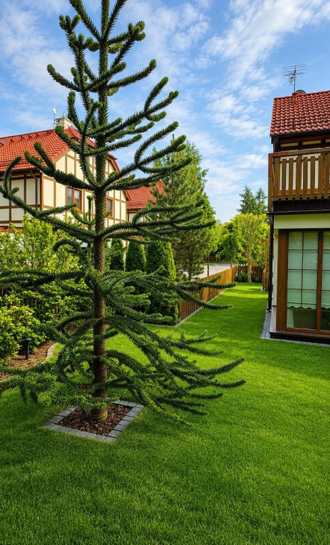 Dom sąsiadujący z plażą na osiedlu rezydencyjnym! - Widok 3
