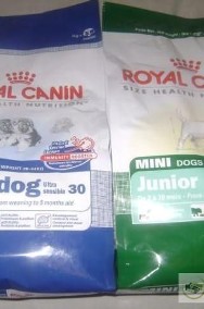 ROYAL CANIN STARTER MINI 20kg +obroża+smycz+szarpak-2