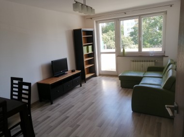 Mieszkanie dwupokojowe 45,6 m2 Głogowska 124A-1