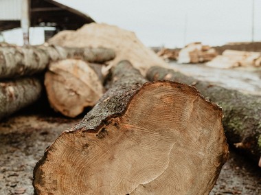 Sprzedaż Stempli Budowlanych – Solidność i Niezawodność!-1