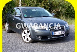 Audi A3 II (8P) Klimatronic /BI Xenon /Navi /1,6 /2007 model