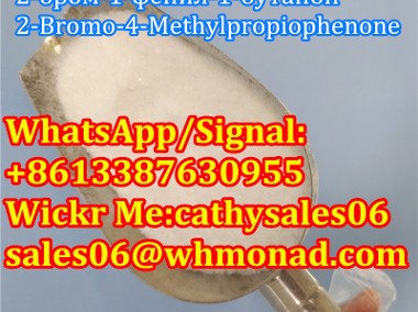 Sell bk-4 2-Bromo-4-Methylpropiophenone Safety Delivery-2