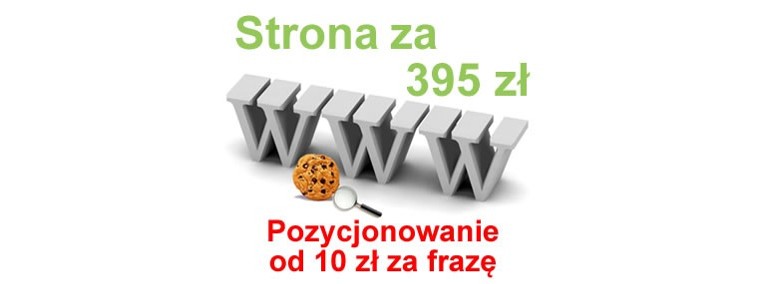 POZYCJONOWANIE stron Chojnice tworzenie stron WWW strony internetowe strona-1