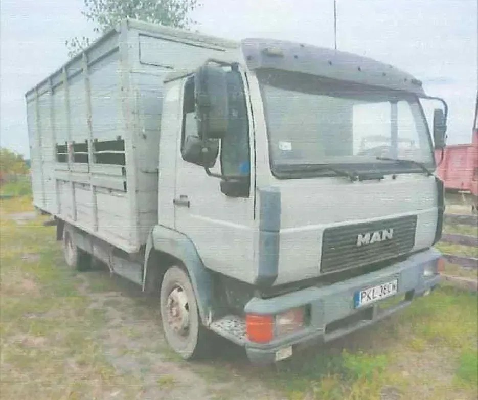 MAN 8. Syndyk sprzeda samochód ciężarowy marki MAN do przewozu zwierząt!