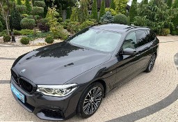 BMW SERIA 5 VII (G30/G31) 520d xDrive Luxury Line 190KM 2018r Stan perfekcyjny!