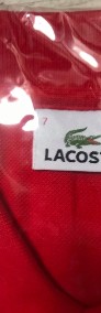 Czerwony t-shirt Lacoste z metką XXL-4