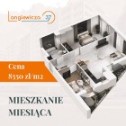 Nowe mieszkanie Rzeszów, ul. Langiewicza 37