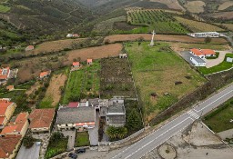 Dom Algoso, Campo De Víboras E Uva