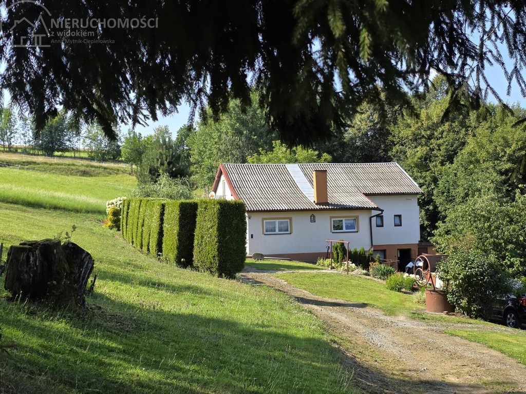 Urokliwe siedlisko z własnym lasem – 1,43 ha prywatnej przestrzeni