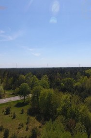 Las w Laskowcu-2