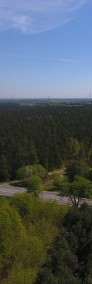 Las w Laskowcu-3