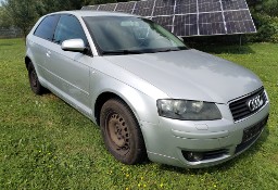 Audi A3 II (8P) Audi a3 8p 1,6mpi LY7W Xenon