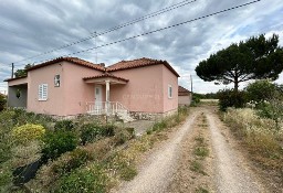 Dom Tomar (São João Baptista) E Santa Maria Dos Olivais