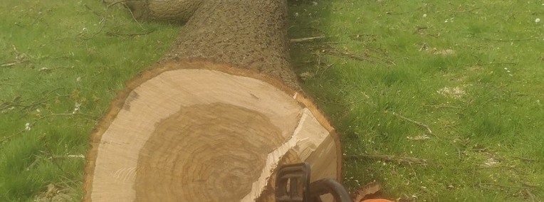 Wycinka drzew trudnych Rębak do gałęzi Sprzątanie ogrodów-1