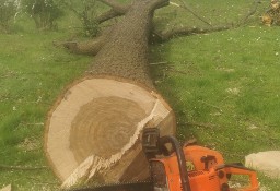 Wycinka drzew trudnych Rębak do gałęzi Sprzątanie ogrodów