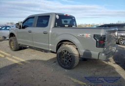 Ford F-Seria XIII