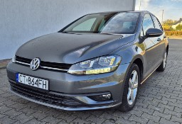 Volkswagen Golf VII pierwsza rejestracja 2019
