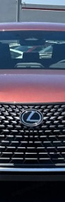 Lexus UX 300h Business 300h Business 2.0 199KM | System Martwego Pola-3