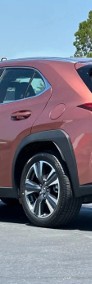 Lexus UX 300h Business 300h Business 2.0 199KM | System Martwego Pola-4