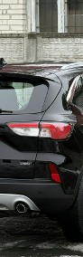 Ford Kuga III 2.5i 225KM Plug-InHybrid/Navi/Led/Bliss/Kamera/ACC/Tempomat/Serwis-3