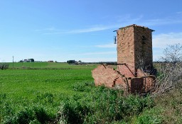 Dom Tarquinia