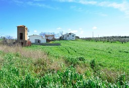 Dom Tarquinia