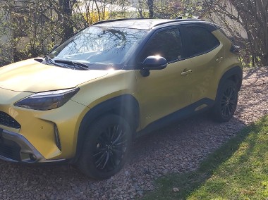 Pierwszy właściciel-1