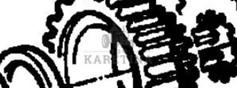 Fendt Favorit 514 Koło Zębate Walcowe CZĘŚCI 514100220220-1