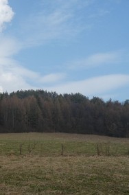 Działka w Rzepedzi pod lasem-2