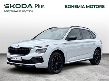 Skoda Kamiq-1