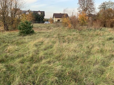1,6 hektara, Pawlikowice, działka rolno-budowlana-1