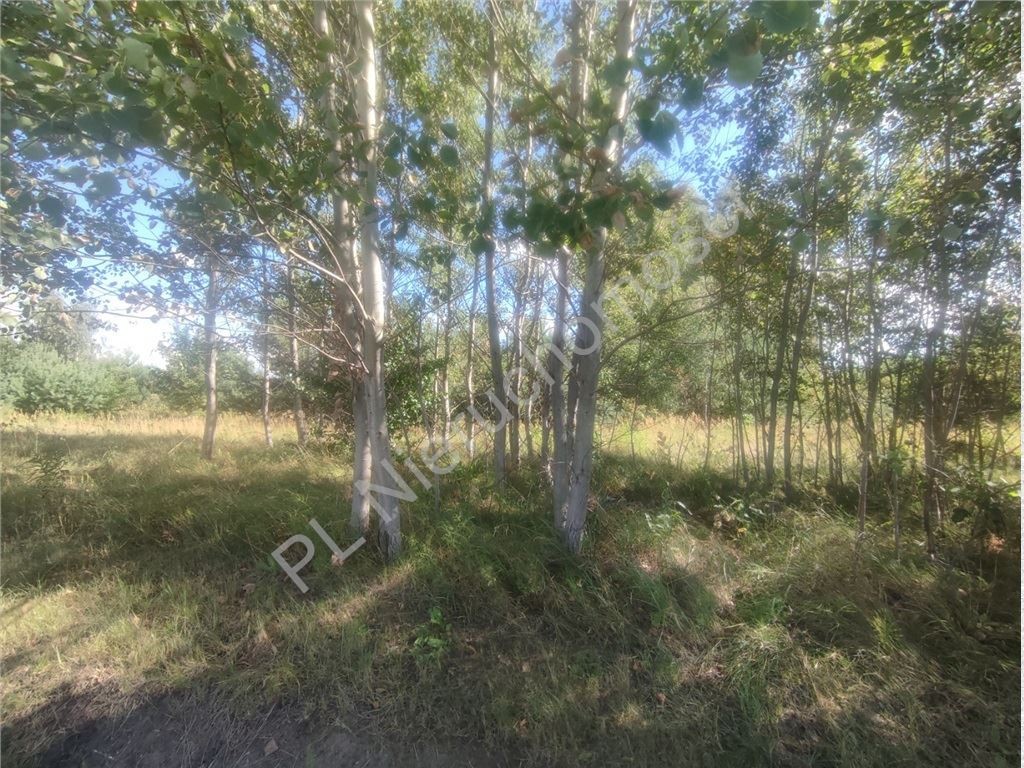 Bieganów-1,03 ha- MPZP- Media w drodze - Widok 2