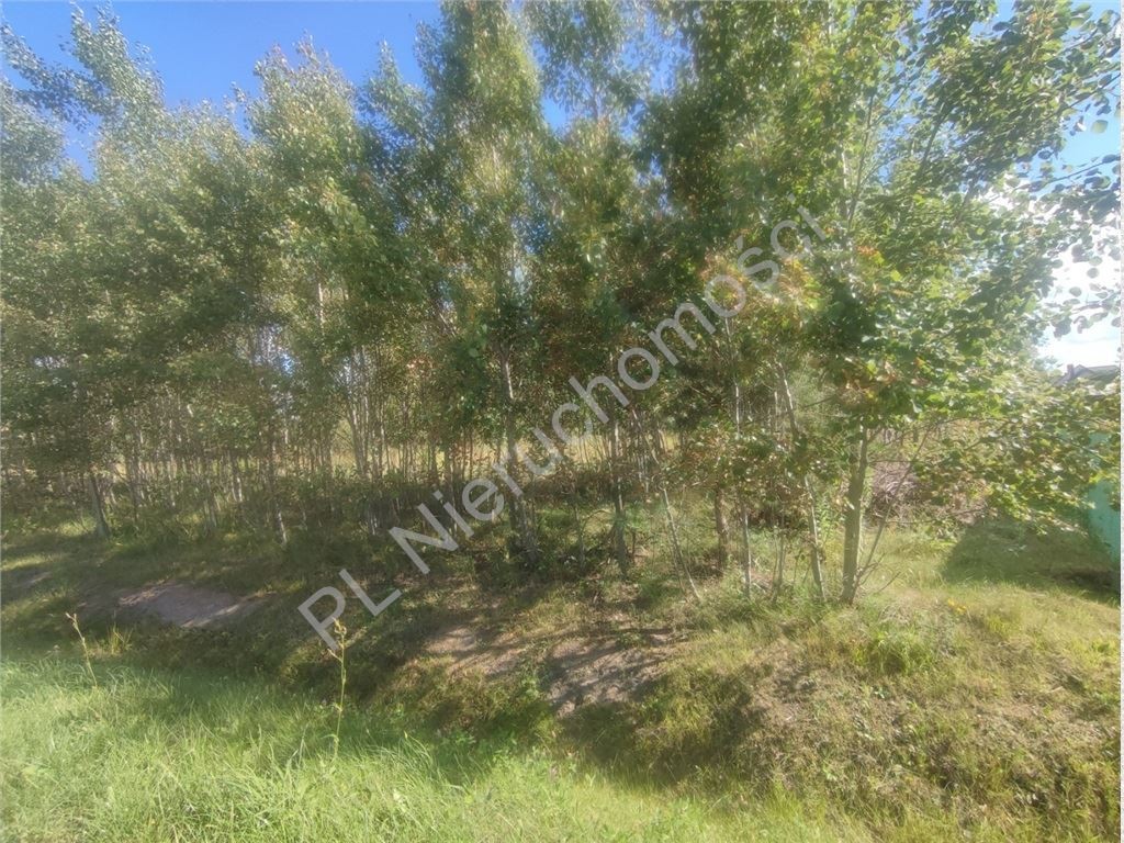 Bieganów-1,03 ha- MPZP- Media w drodze - Widok 4