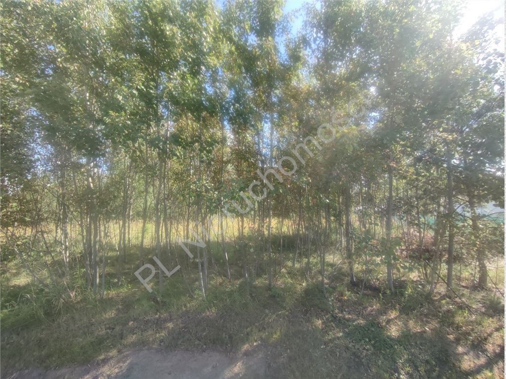 Bieganów-1,03 ha- MPZP- Media w drodze - Widok 5
