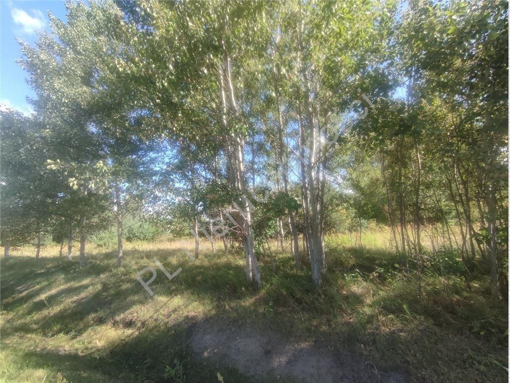 Bieganów-1,03 ha- MPZP- Media w drodze - Widok 6