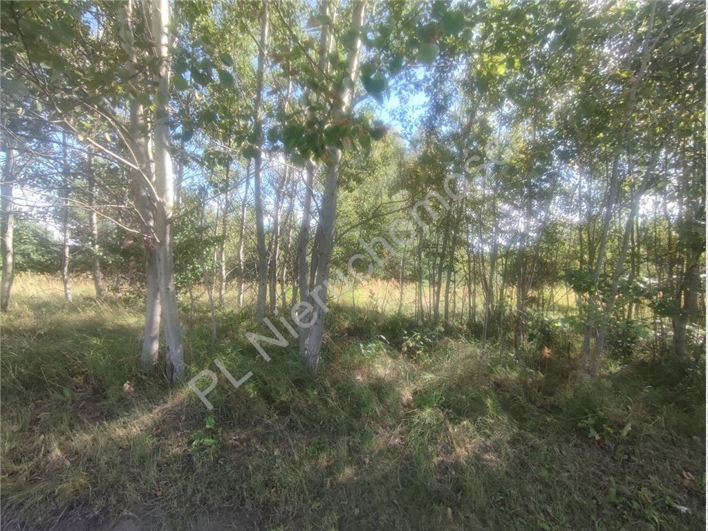 Bieganów-1,03 ha- MPZP- Media w drodze - Więcej