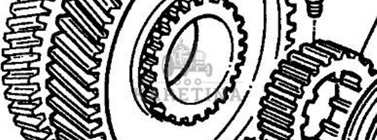 Massey Ferguson 3690 Koło Zębate Zębnik Skrzyni Biegów 48 zębów CZĘŚCI 3615837M91-1