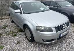 Audi A3 II (8P) AUDI A3 1.6 MPI