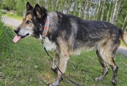 Piękny, mądry i ułożony - pokochaj Nanuka