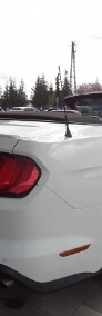 Ford Mustang VI Cabrio GT 5.0 V8 450 KM AUTOMAT Kamera NAVI Lift-3