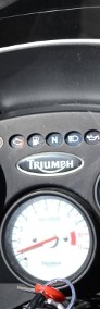 Triumph TIGER 955I TRIUMPH TIGER 955I tylko 42tyś IGŁA!!!-4
