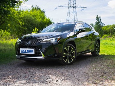 Lexus UX , Salon Polska, Serwis ASO, Automat, Klimatronic, Tempomat,-1