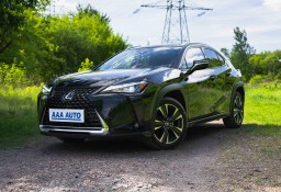 Lexus UX , Salon Polska, Serwis ASO, Automat, Klimatronic, Tempomat,