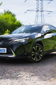 Lexus UX , Salon Polska, Serwis ASO, Automat, Klimatronic, Tempomat,-2