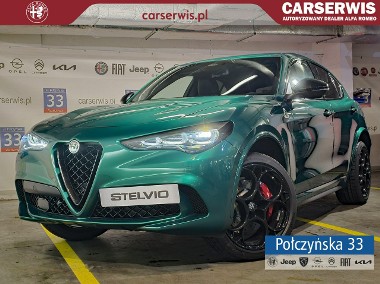 Alfa Romeo Quadrifoglio 2.9 V6 520 KM AT8 Q4|Montreal Green| Techno|MY24-1