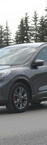 Ford Kuga III 2.5 Plug-In-Hybrid ST-Line bezwypadkowy gwarancja przebiegu alkantar-3