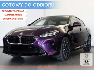 BMW SERIA 2 Gran Coupe 220 Gran Coupe 220 1.5 (170KM)| Systemy asystujące kierowcy-1