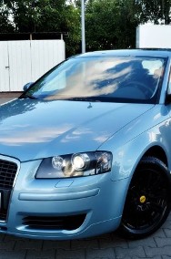 Audi A3 II (8P)-2