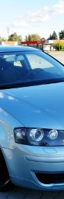 Audi A3 II (8P)-3